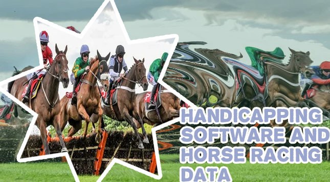 Top horse tipsters